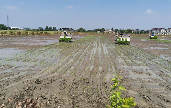 1656063731119643.jpg 2.6.jpg